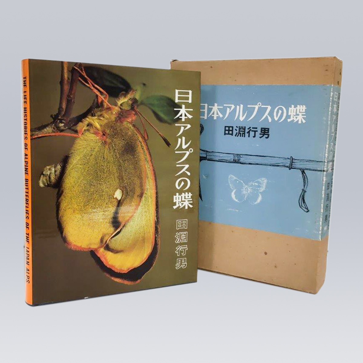 古書販売「日本アルプスの蝶」